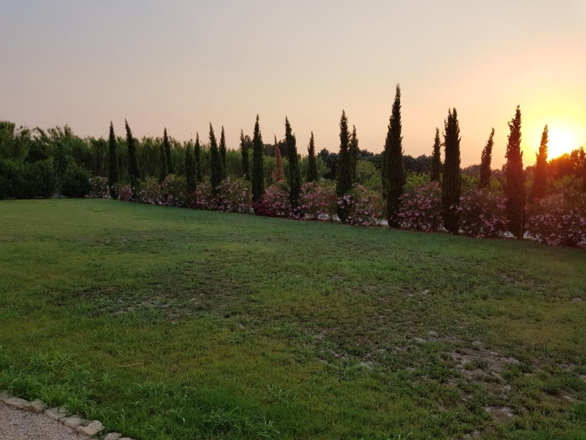 Le Mas De Guiguite Mézoargues Zewnętrze zdjęcie